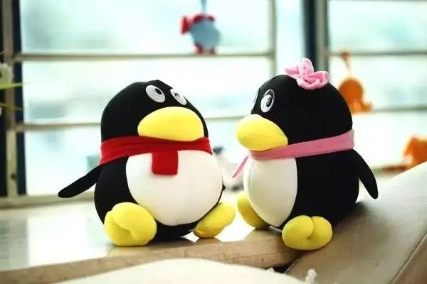 QQ实名认证支付密码忘记了，无法支付?